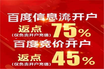 百度竞价赚钱技巧：实战案例分析